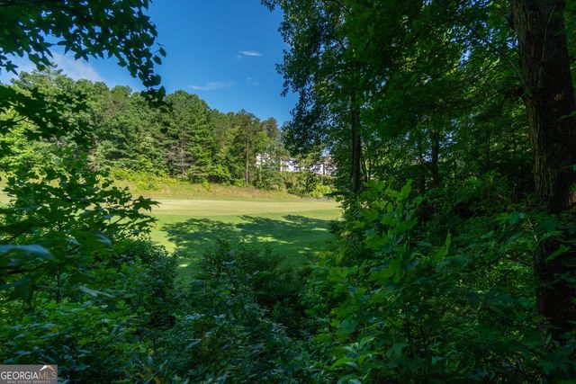 81 Dach Bruecke Gasse, Helen, GA 30545