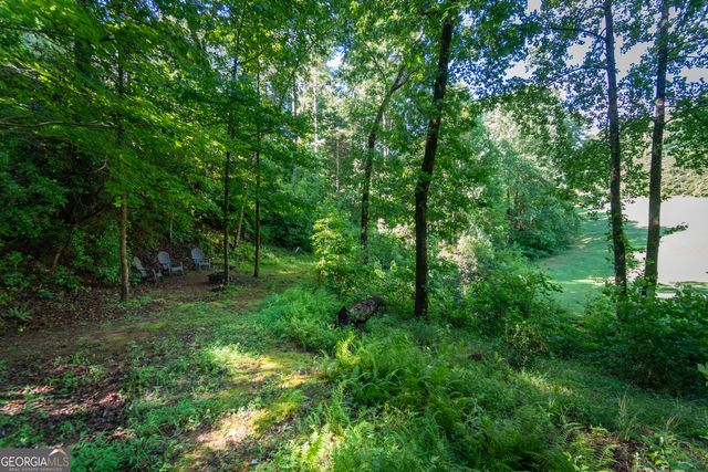 81 Dach Bruecke Gasse, Helen, GA 30545