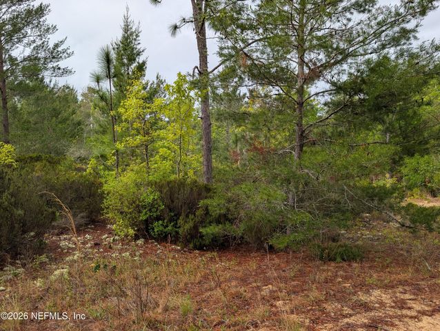 LOT 34 SE 10TH Street, Interlachen, FL 32148