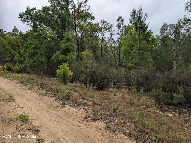 LOT 34 SE 10TH Street, Interlachen, FL 32148