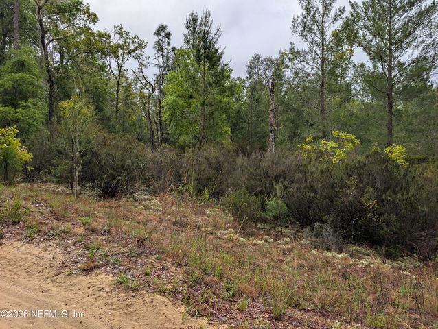 LOT 34 SE 10TH Street, Interlachen, FL 32148