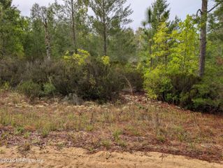 LOT 34 SE 10TH Street, Interlachen, FL 32148