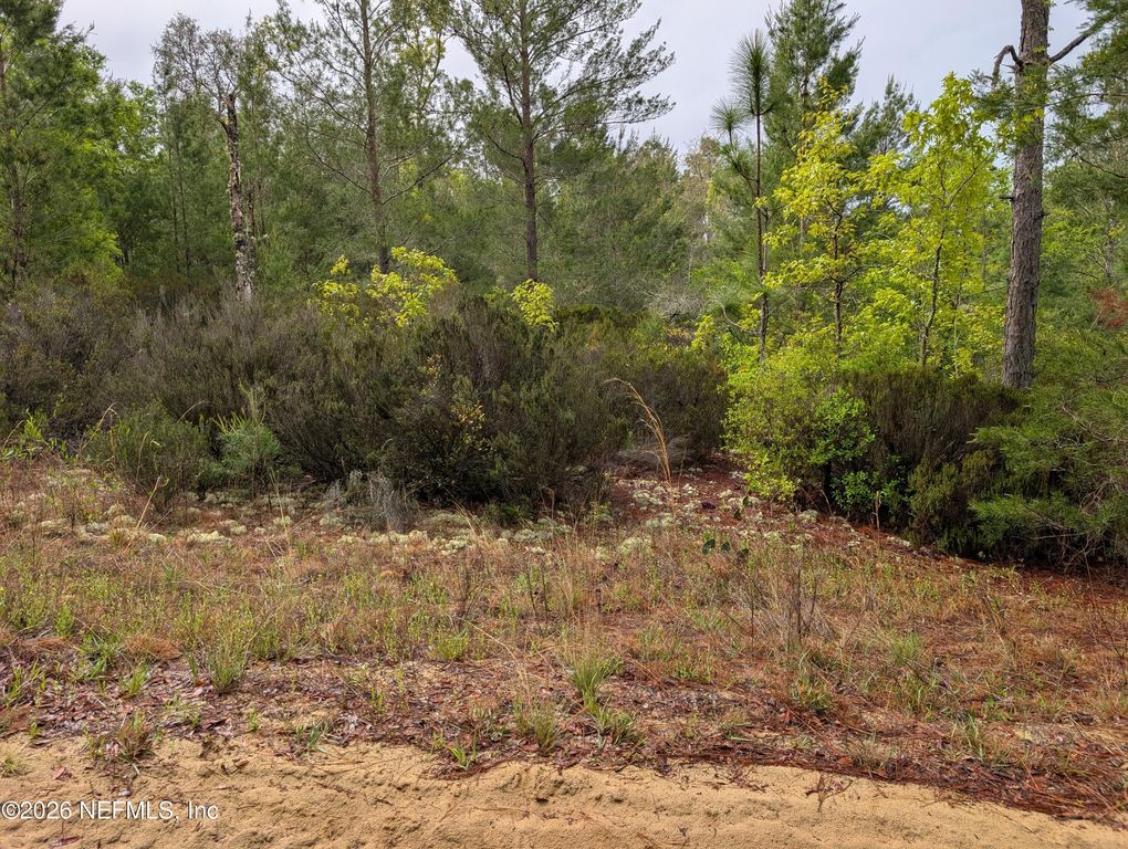 LOT 34 SE 10TH Street, Interlachen, FL 32148