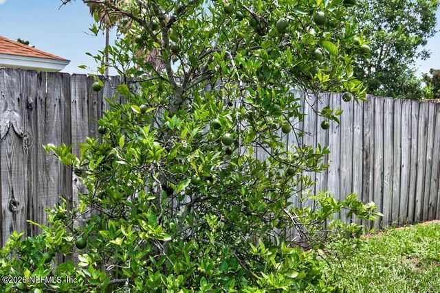 12302 BENTON HARBOR Drive S, Jacksonville, FL 32225
