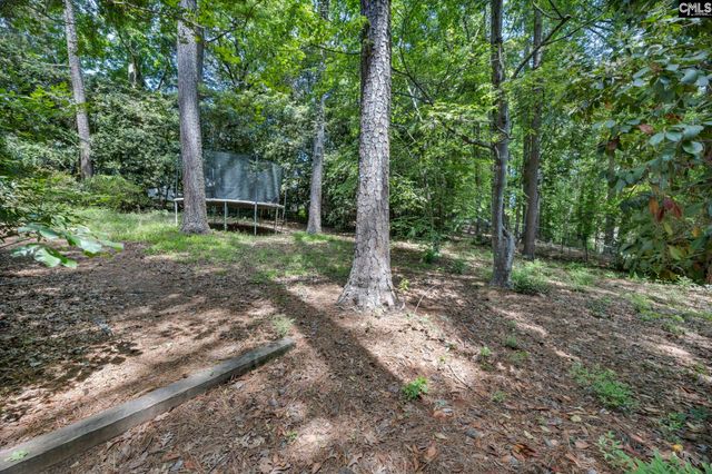 1608 Shortstream Road, Columbia, SC 29212