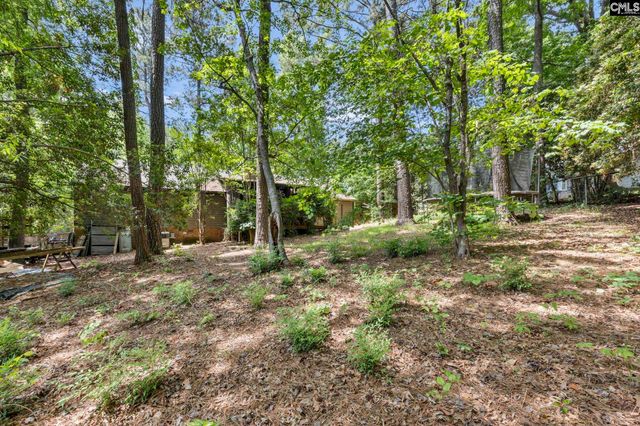 1608 Shortstream Road, Columbia, SC 29212
