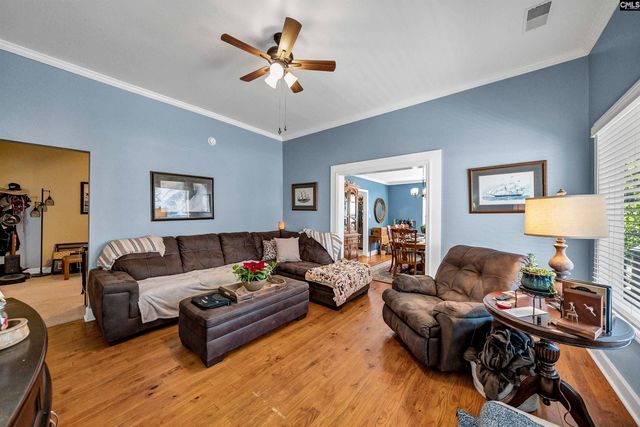 124 Peak Street, Chapin, SC 29036