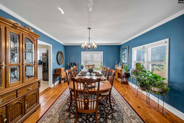 124 Peak Street, Chapin, SC 29036