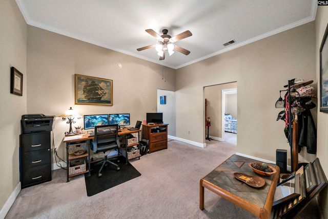 124 Peak Street, Chapin, SC 29036