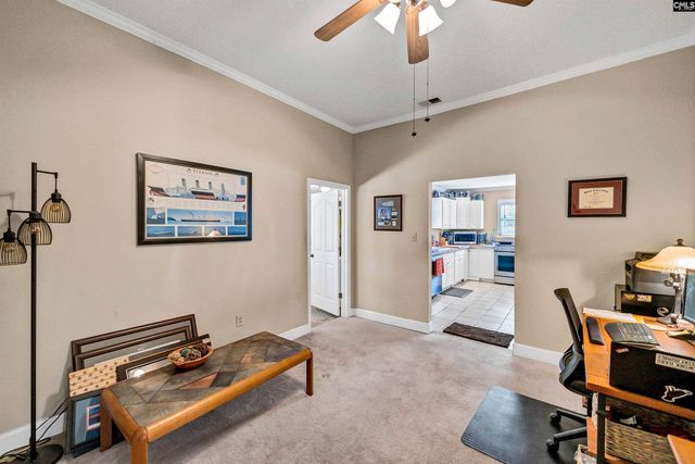 124 Peak Street, Chapin, SC 29036