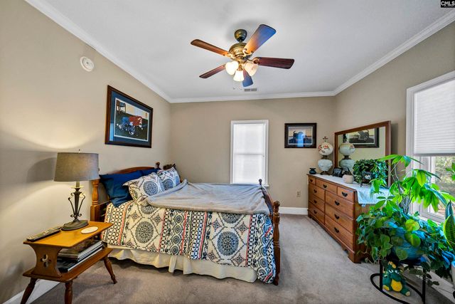 124 Peak Street, Chapin, SC 29036