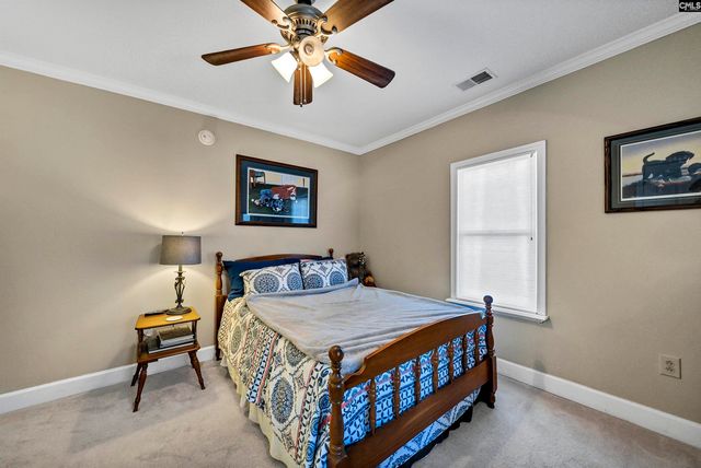 124 Peak Street, Chapin, SC 29036