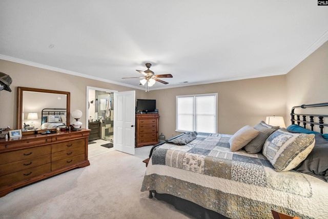 124 Peak Street, Chapin, SC 29036