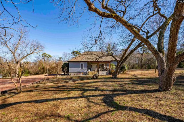 124 Peak Street, Chapin, SC 29036