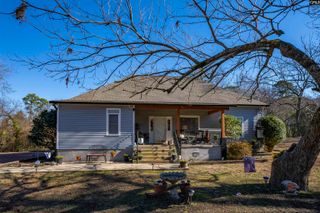 124 Peak Street, Chapin, SC 29036