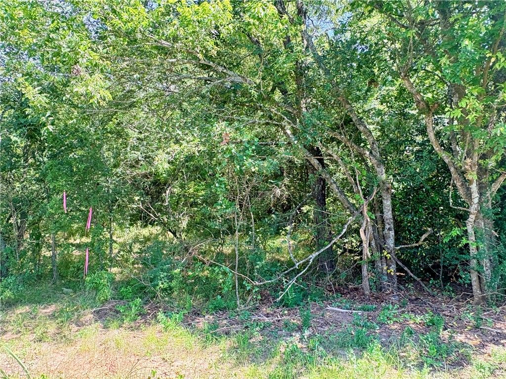 TBD Crennan Lane, Hearne, TX 77859 — photo 2