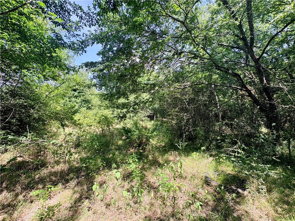 TBD Crennan Lane, Hearne, TX 77859 — photo 4