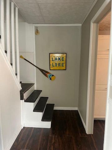 61272 Lewis Lake Road, Newberg Twp, MI 49095
