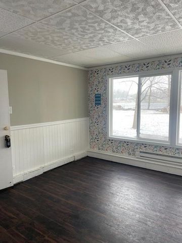 61272 Lewis Lake Road, Newberg Twp, MI 49095