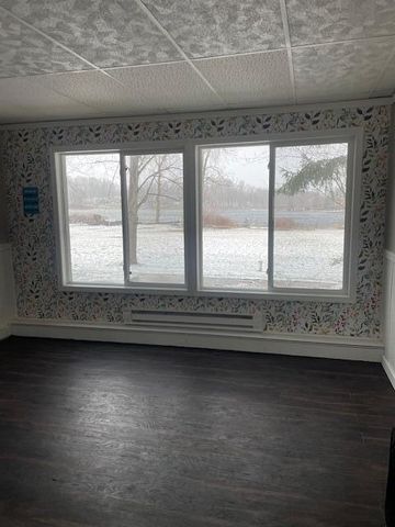 61272 Lewis Lake Road, Newberg Twp, MI 49095