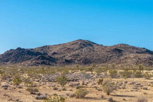 1631 Alta, Landers, CA 92285