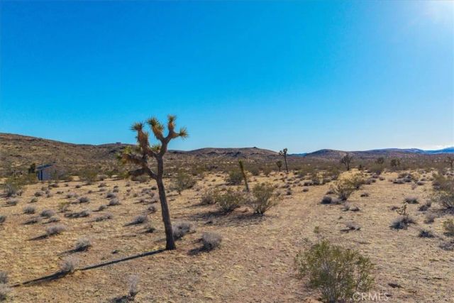 1631 Alta, Landers, CA 92285