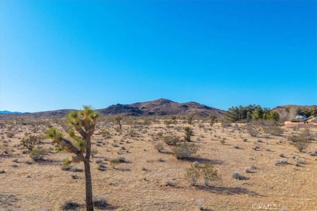 1631 Alta, Landers, CA 92285