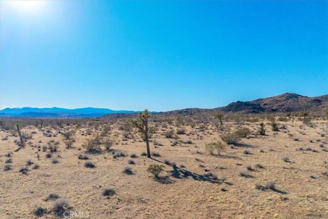 1631 Alta, Landers, CA 92285