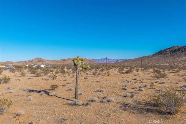 1631 Alta, Landers, CA 92285
