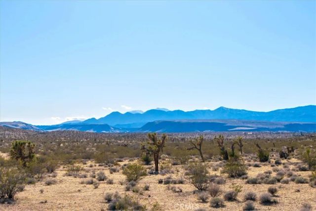 1631 Alta, Landers, CA 92285