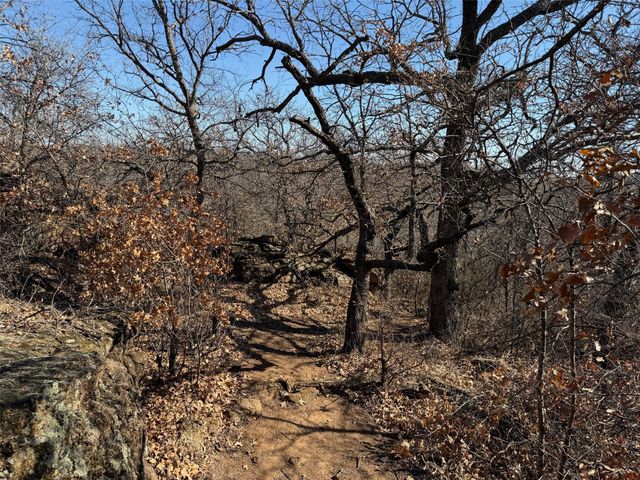 150 Timber Ridge Lake Road, Graham, TX 76450