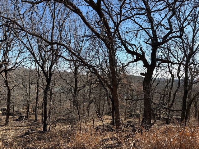 150 Timber Ridge Lake Road, Graham, TX 76450