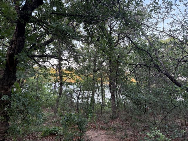 150 Timber Ridge Lake Road, Graham, TX 76450