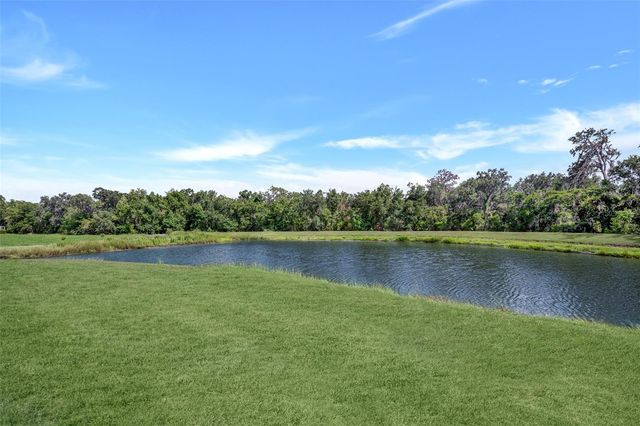 5842 FISHHAWK RIDGE DRIVE, Lithia, FL 33547