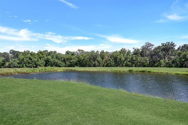 5842 FISHHAWK RIDGE DRIVE, Lithia, FL 33547