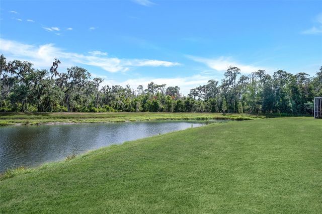5842 FISHHAWK RIDGE DRIVE, Lithia, FL 33547