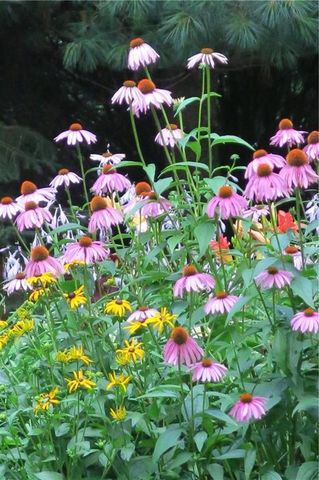 8749 164th Street, Chippewa Falls, WI 54729