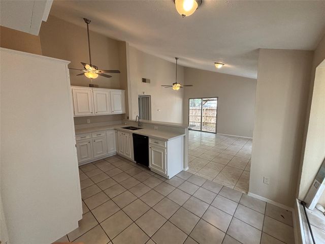 24202 Jumping Jay Drive, Hockley, TX 77447