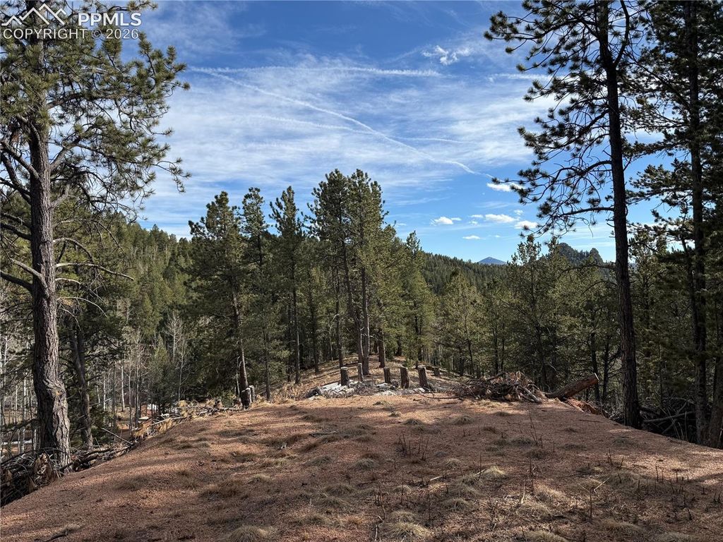 162 Eagle Drive, Divide, CO 80813 — exterior