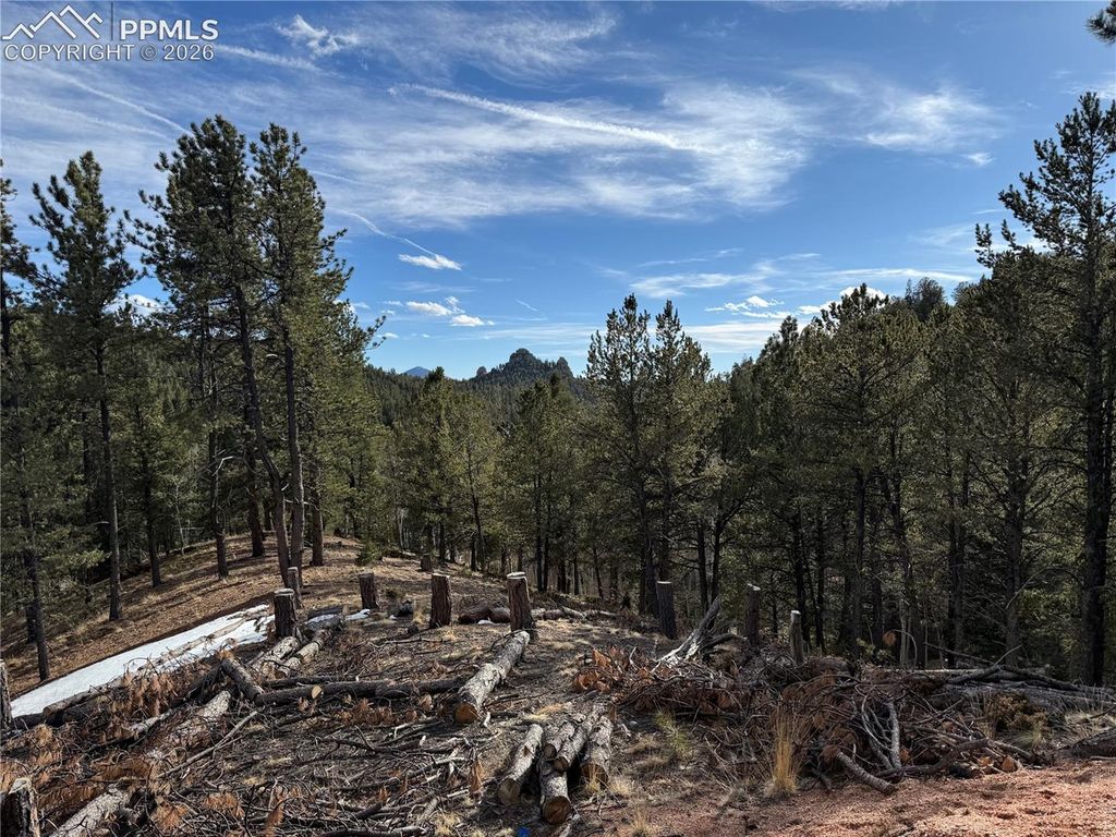 162 Eagle Drive, Divide, CO 80813 — photo 2