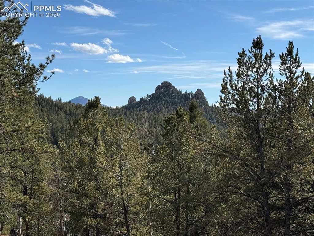 162 Eagle Drive, Divide, CO 80813 — photo 3
