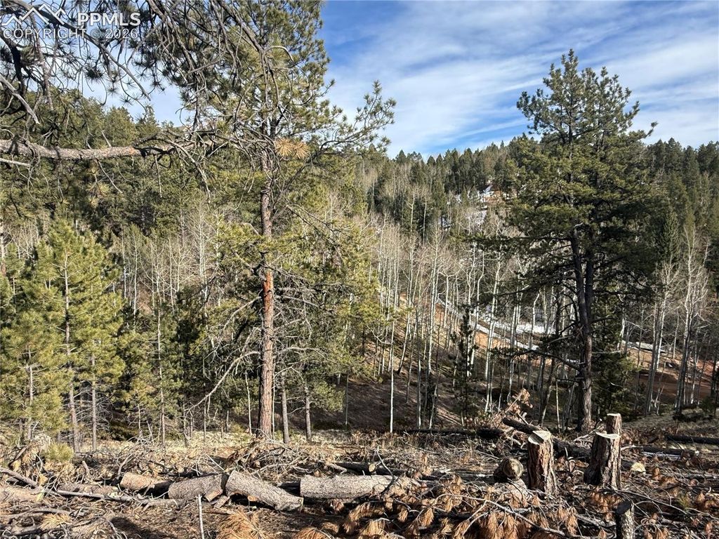 162 Eagle Drive, Divide, CO 80813 — photo 4