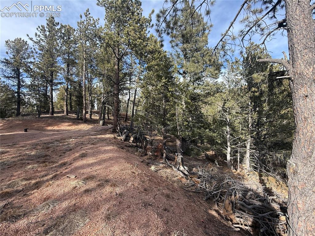 162 Eagle Drive, Divide, CO 80813 — photo 5