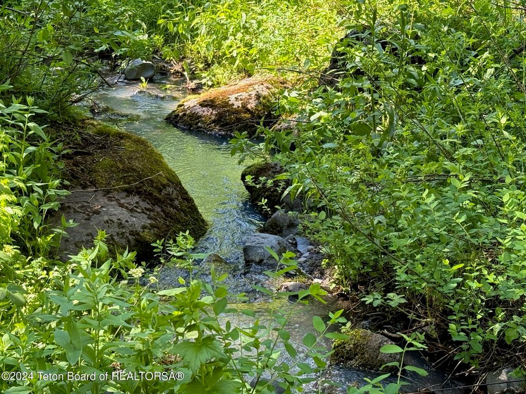 7424 MCKINLAY LANE, Tetonia, ID 83452 photo 27