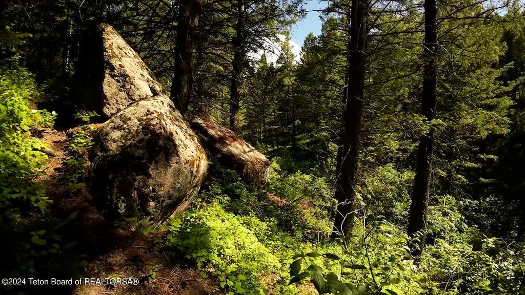 7424 MCKINLAY LANE, Tetonia, ID 83452 photo 51