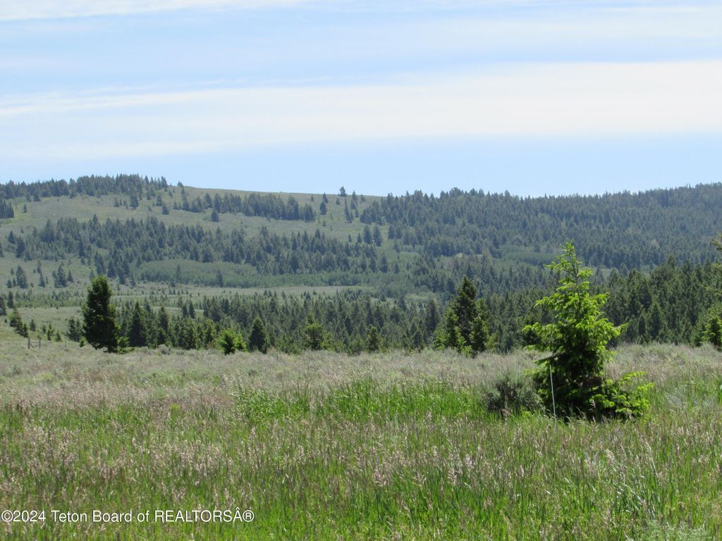 7424 MCKINLAY LANE, Tetonia, ID 83452 photo 57