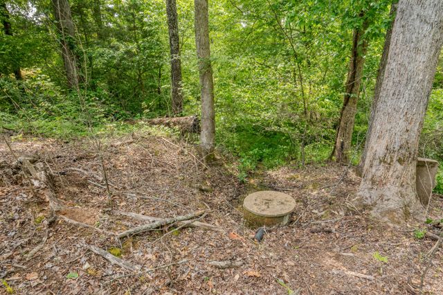 1211 Bundrant Hollow Rd, Waynesboro, TN 38485