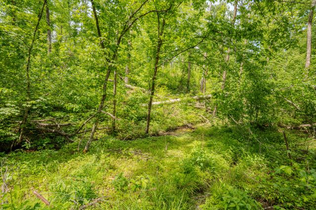 1211 Bundrant Hollow Rd, Waynesboro, TN 38485