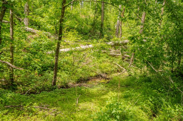 1211 Bundrant Hollow Rd, Waynesboro, TN 38485