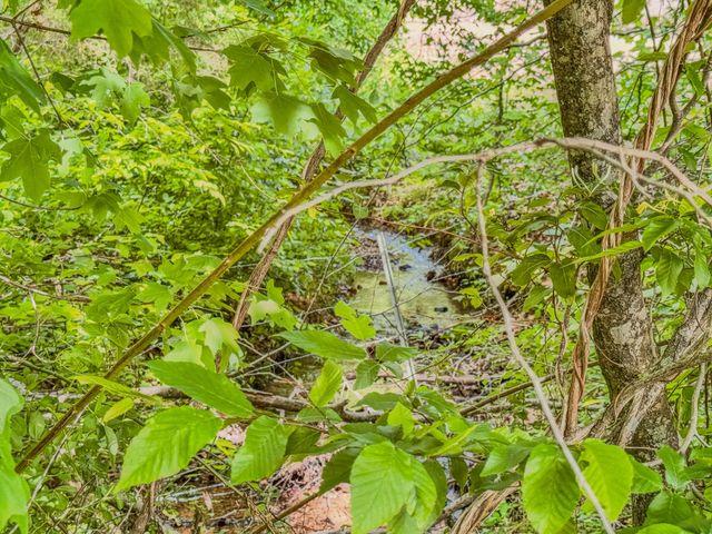 1211 Bundrant Hollow Rd, Waynesboro, TN 38485